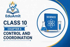 Class 10 Science Chapter 6: Control and Coordination 1 class 10 chapters 6 control and Coordination themnal make right side image of book in circle
